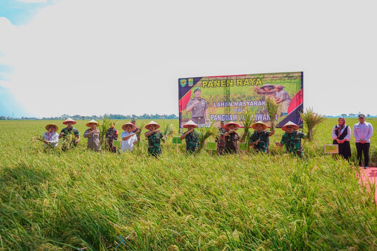 Dinas Pertanian dan ketahanan pangan Karawang, Produksi Padi Tahun 2025 Berhasil Mencapai Target